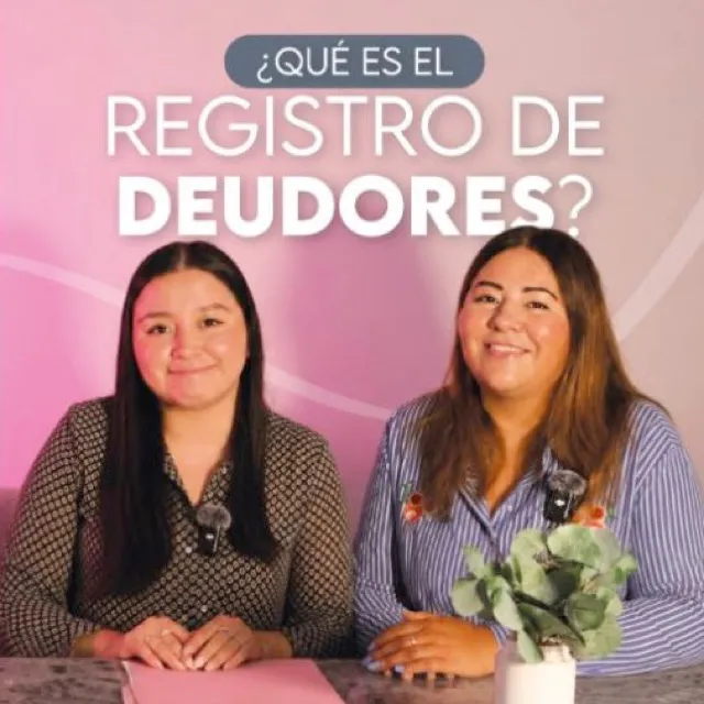 ¿Qué es el registro de deudores?